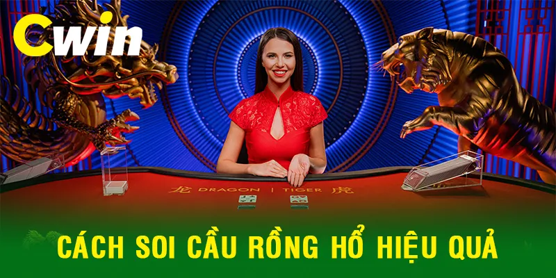 Cách soi cầu Rồng Hổ