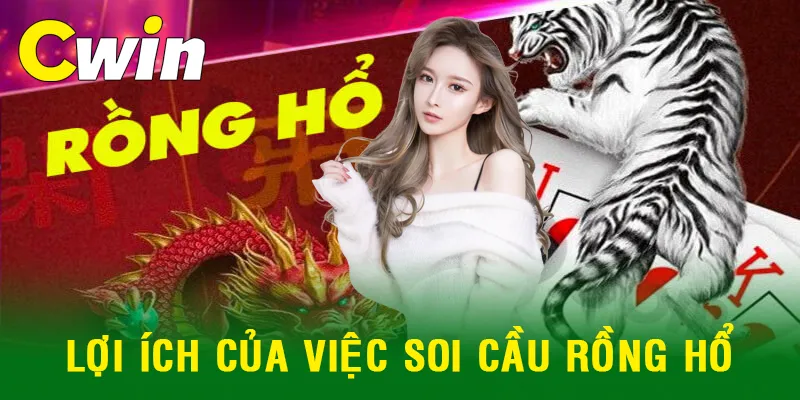 Những cách soi cầu Rồng Hổ từ cao thủ mang lại nhiều lợi ích khi cá cược