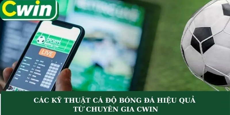 Các kỹ thuật cá độ bóng đá hiệu quả từ chuyên gia CWIN