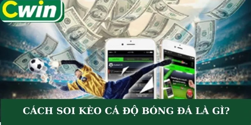 Cách soi kèo cá độ bóng đá là gì?