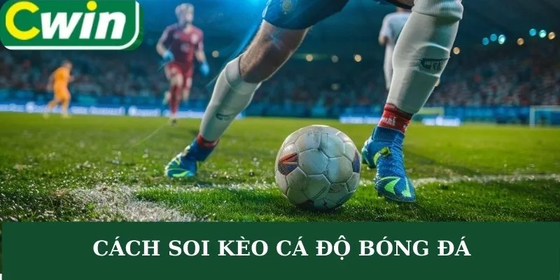 Cách soi kèo cá độ bóng đá