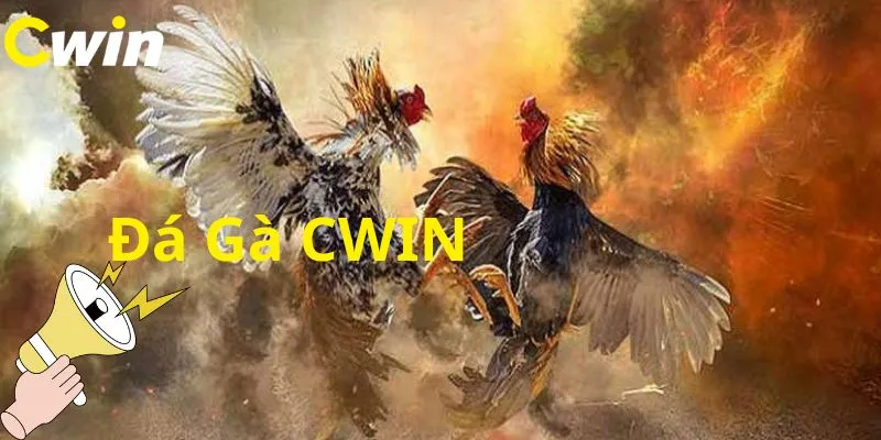 Đá gà CWIN