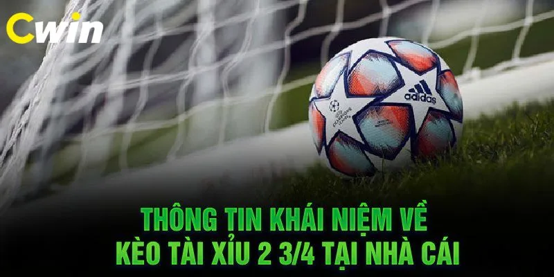 Thông tin chính xác về kèo tài xỉu 2 3/4